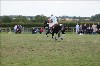 UKPA  NC Sat_1440